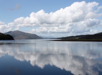reflect